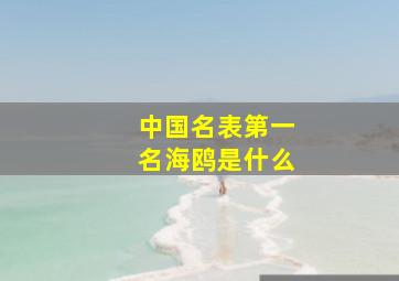 中国名表第一名海鸥是什么