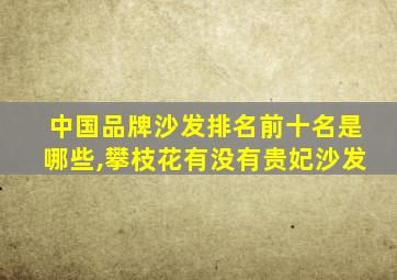 中国品牌沙发排名前十名是哪些,攀枝花有没有贵妃沙发