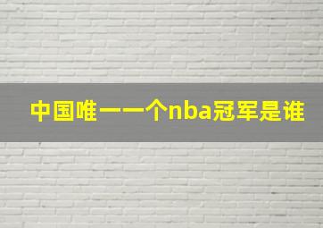 中国唯一一个nba冠军是谁