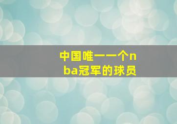 中国唯一一个nba冠军的球员