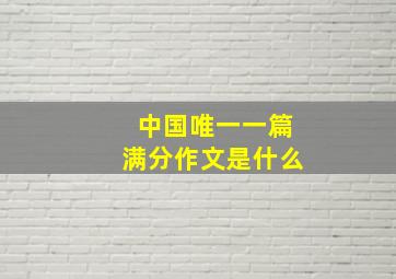 中国唯一一篇满分作文是什么