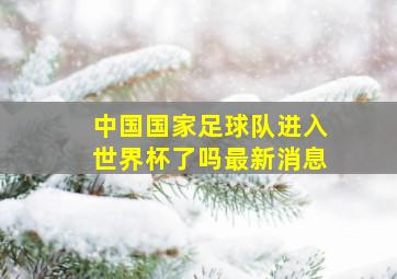 中国国家足球队进入世界杯了吗最新消息