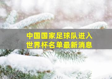 中国国家足球队进入世界杯名单最新消息