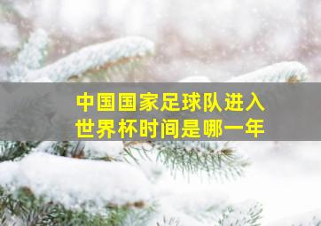 中国国家足球队进入世界杯时间是哪一年