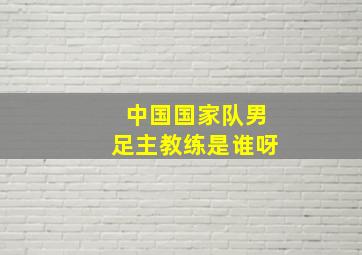 中国国家队男足主教练是谁呀