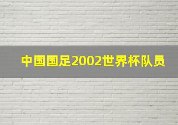 中国国足2002世界杯队员