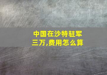 中国在沙特驻军三万,费用怎么算