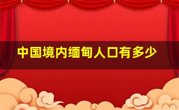 中国境内缅甸人口有多少