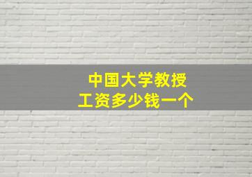 中国大学教授工资多少钱一个