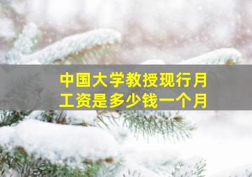 中国大学教授现行月工资是多少钱一个月