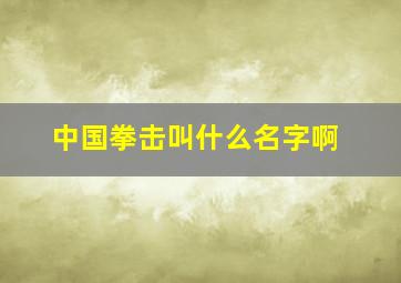 中国拳击叫什么名字啊