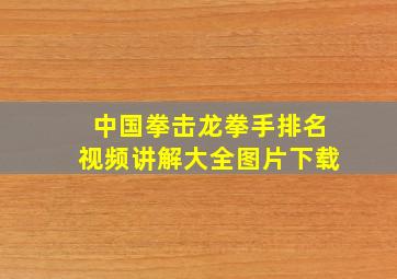 中国拳击龙拳手排名视频讲解大全图片下载