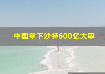 中国拿下沙特600亿大单