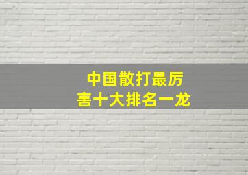 中国散打最厉害十大排名一龙