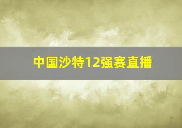 中国沙特12强赛直播