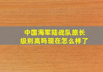 中国海军陆战队旅长级别高吗现在怎么样了