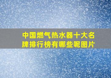 中国燃气热水器十大名牌排行榜有哪些呢图片