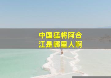 中国猛将阿合江是哪里人啊