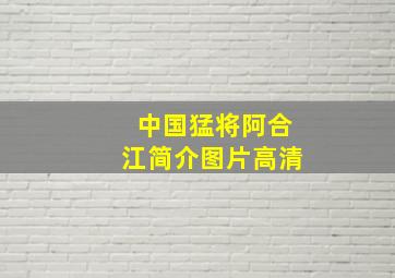 中国猛将阿合江简介图片高清