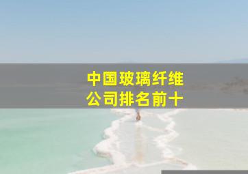 中国玻璃纤维公司排名前十