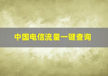 中国电信流量一键查询