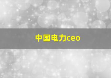 中国电力ceo