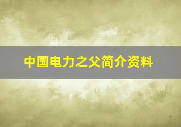 中国电力之父简介资料