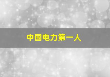 中国电力第一人