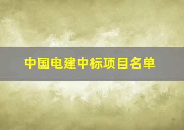 中国电建中标项目名单