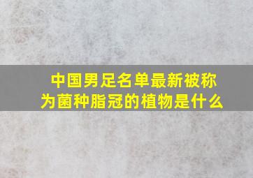 中国男足名单最新被称为菌种脂冠的植物是什么