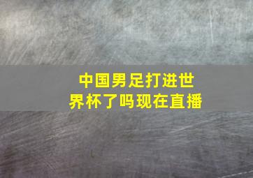 中国男足打进世界杯了吗现在直播