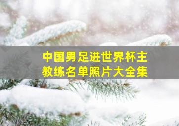 中国男足进世界杯主教练名单照片大全集