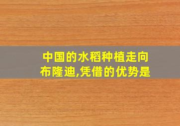 中国的水稻种植走向布隆迪,凭借的优势是