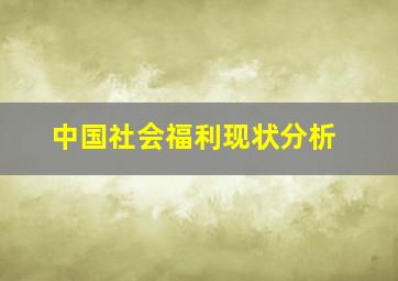 中国社会福利现状分析