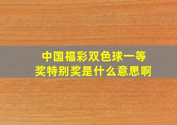 中国福彩双色球一等奖特别奖是什么意思啊