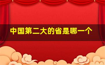 中国第二大的省是哪一个