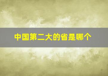 中国第二大的省是哪个