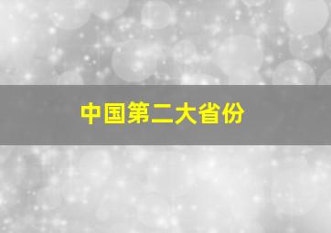 中国第二大省份