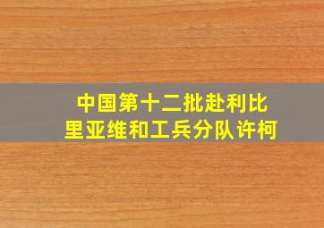 中国第十二批赴利比里亚维和工兵分队许柯