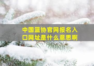 中国篮协官网报名入口网址是什么意思啊