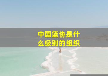 中国篮协是什么级别的组织