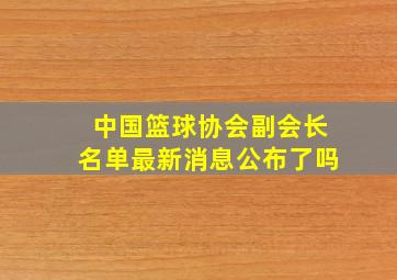 中国篮球协会副会长名单最新消息公布了吗