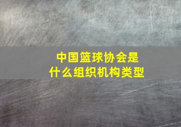 中国篮球协会是什么组织机构类型