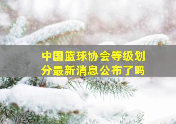 中国篮球协会等级划分最新消息公布了吗