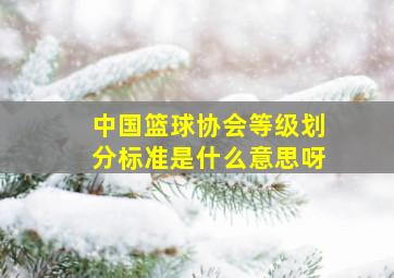 中国篮球协会等级划分标准是什么意思呀