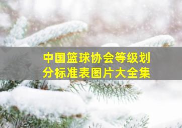 中国篮球协会等级划分标准表图片大全集