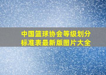 中国篮球协会等级划分标准表最新版图片大全