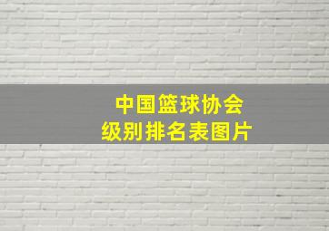 中国篮球协会级别排名表图片