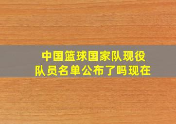 中国篮球国家队现役队员名单公布了吗现在