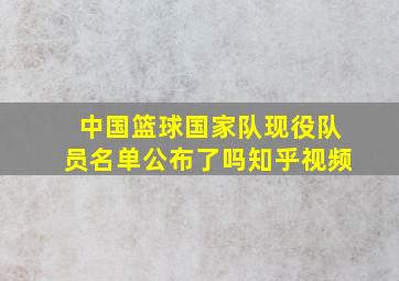 中国篮球国家队现役队员名单公布了吗知乎视频